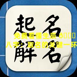 免费看懂生辰 🐝 八字：取名的关键一环